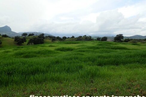 659_fincas-en-venta-121