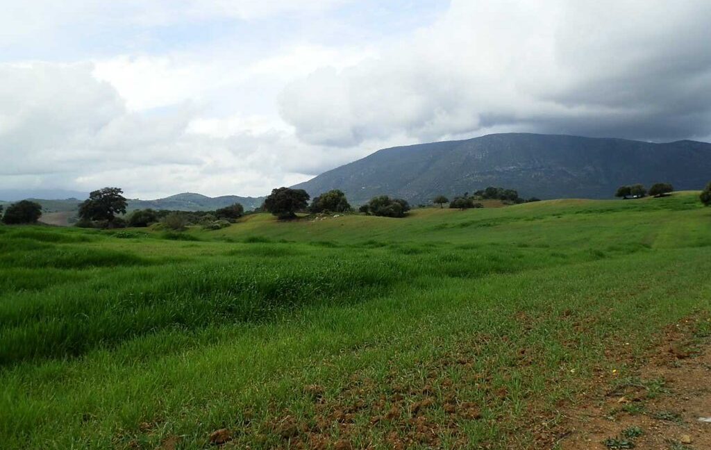 659_fincas-en-venta-122
