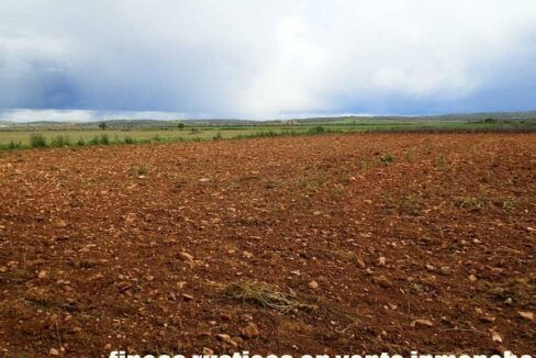 661_fincas-en-venta-0002