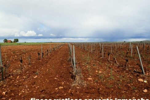 661_fincas-en-venta-0017