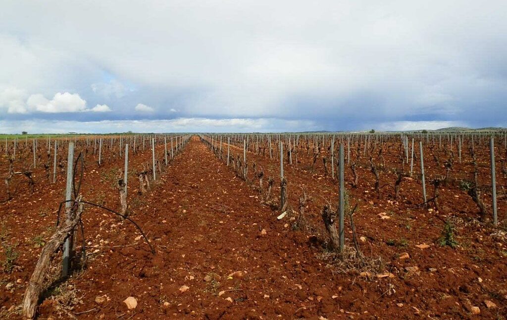 661_fincas-en-venta-0018