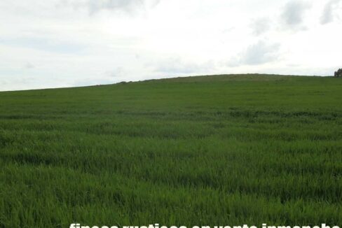 662_fincas-en-venta-005