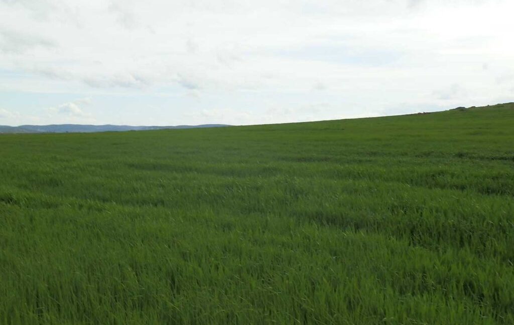 662_fincas-en-venta-006