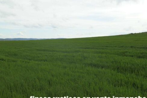 662_fincas-en-venta-006