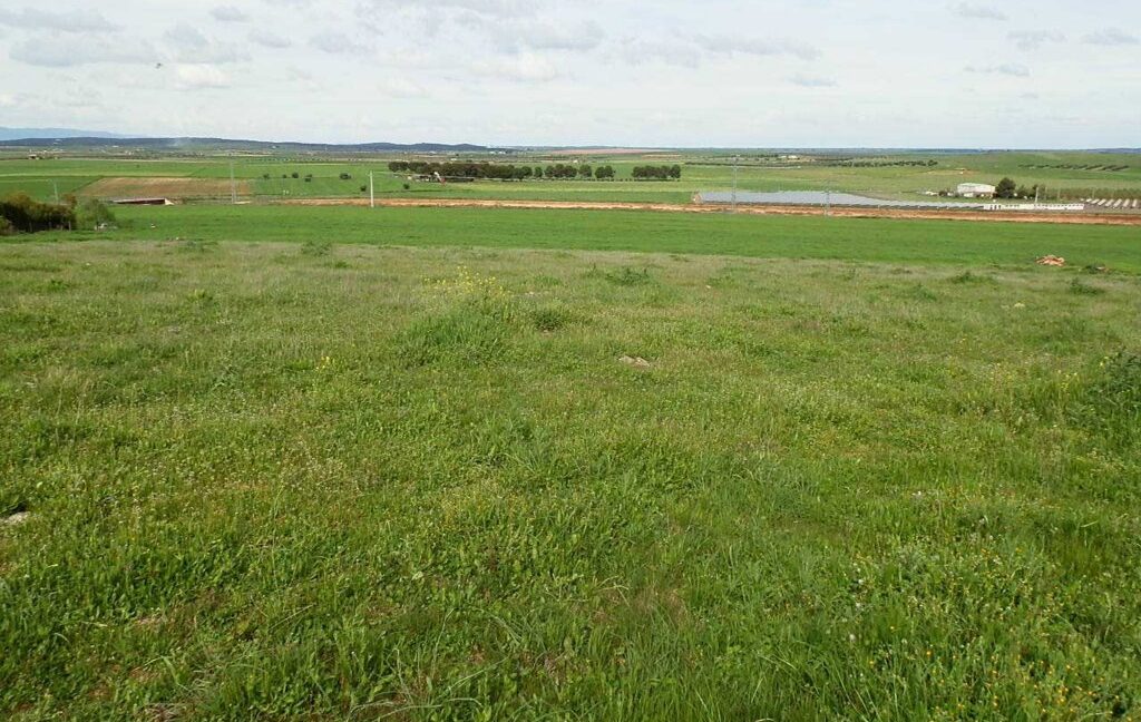 662_fincas-en-venta-010