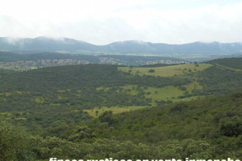 663_fincas-en-venta-013