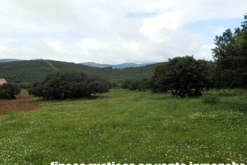 663_fincas-en-venta-018