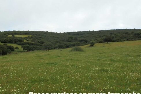 663_fincas-en-venta-026
