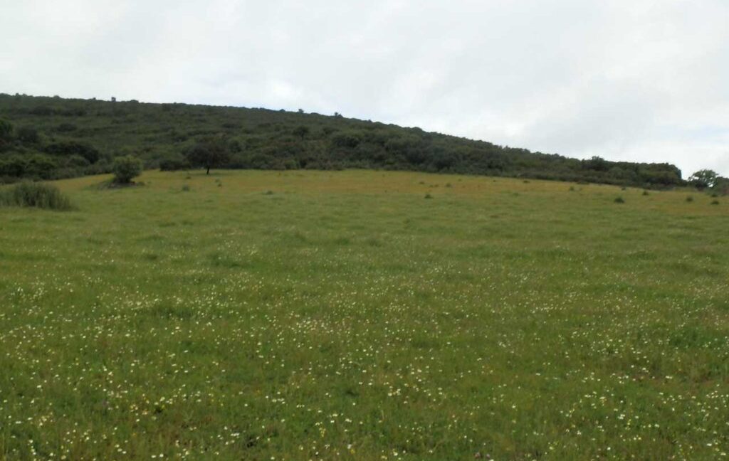 663_fincas-en-venta-027