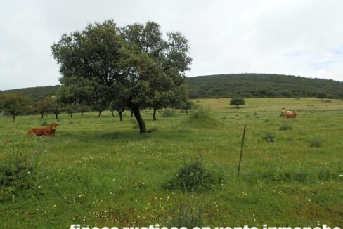663_fincas-en-venta-029
