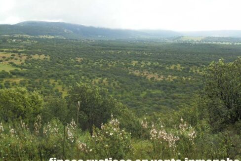 663_fincas-en-venta-037