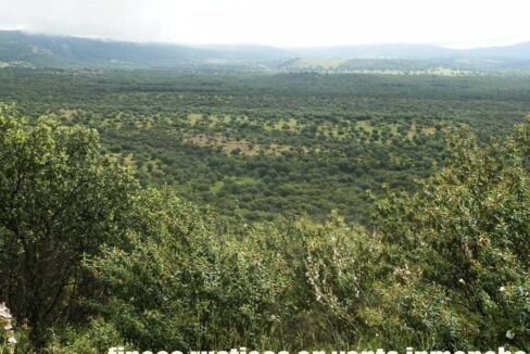 663_fincas-en-venta-038
