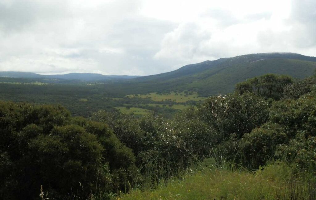 663_fincas-en-venta-039