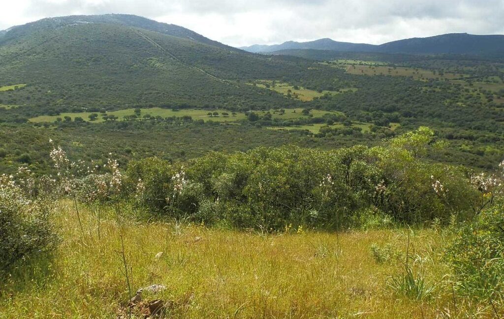 663_fincas-en-venta-043