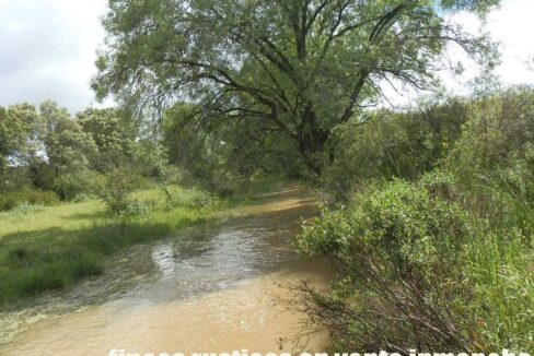 663_fincas-en-venta-049