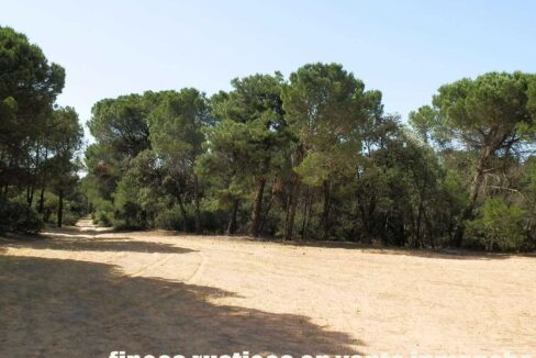 665_fincas-en-venta-022
