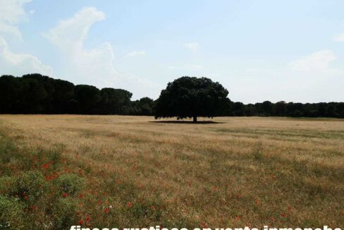 665_fincas-en-venta-033
