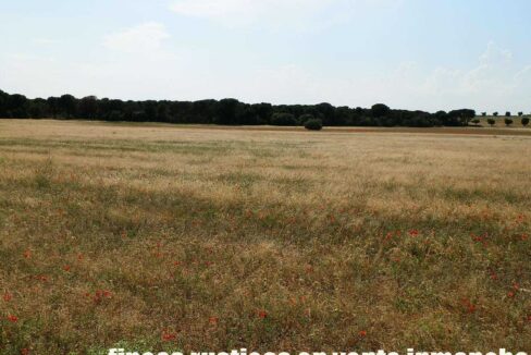 665_fincas-en-venta-034