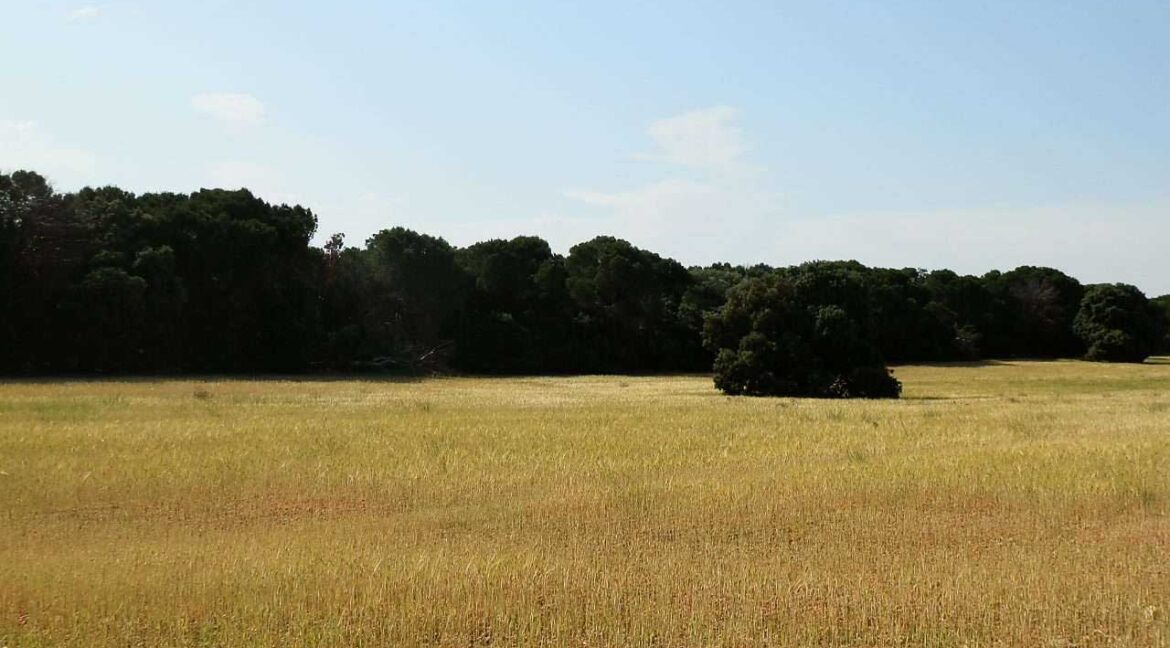 665_fincas-en-venta-044