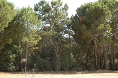 665_fincas-en-venta-048