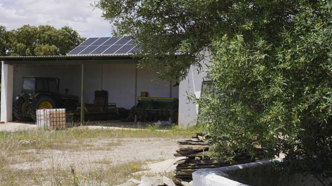 667_fincas-en-venta-12