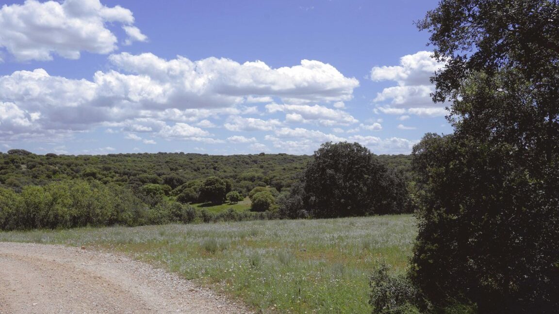 667_fincas-en-venta-16