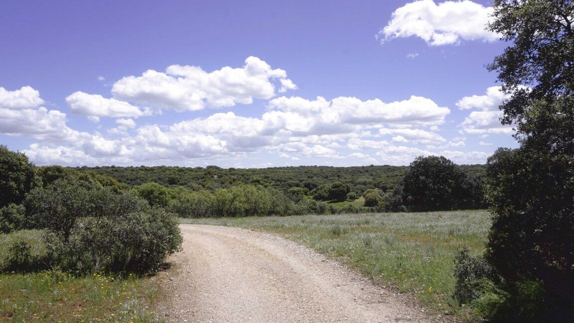 667_fincas-en-venta-21