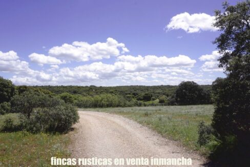 667_fincas-en-venta-21