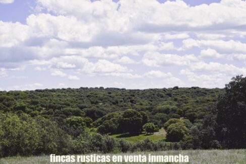 667_fincas-en-venta-22