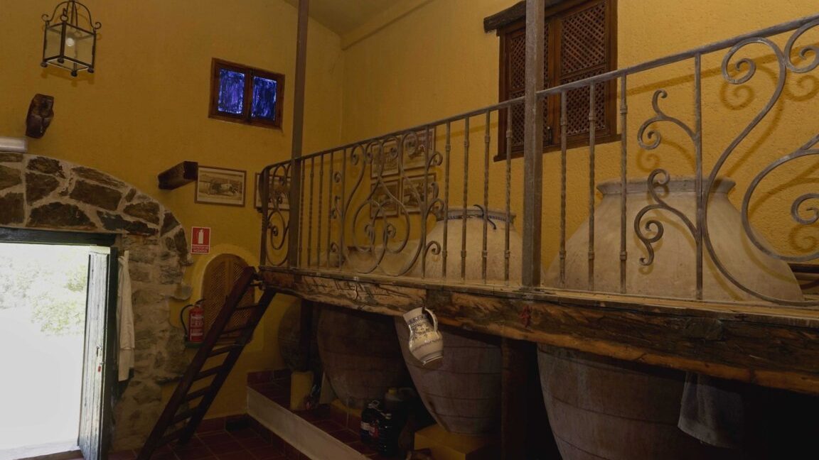 667_fincas-en-venta-9