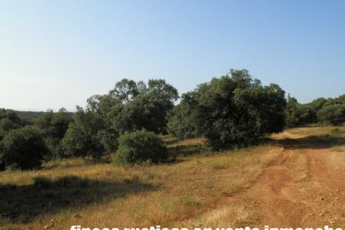 668_fincas-en-venta-039