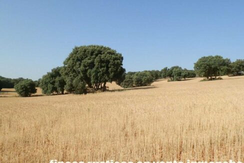 668_fincas-en-venta-047