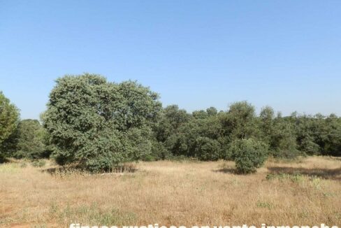 668_fincas-en-venta-064