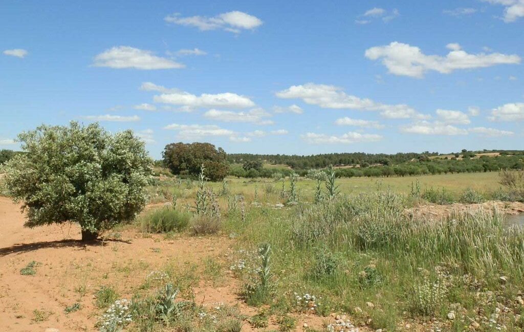 669_fincas-en-venta-101