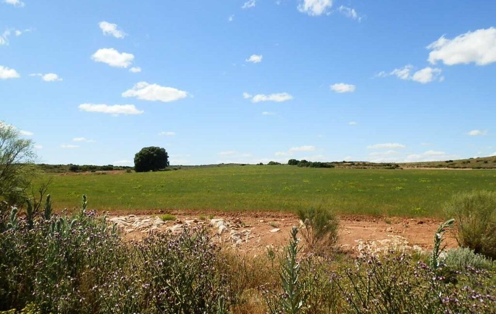 669_fincas-en-venta-106
