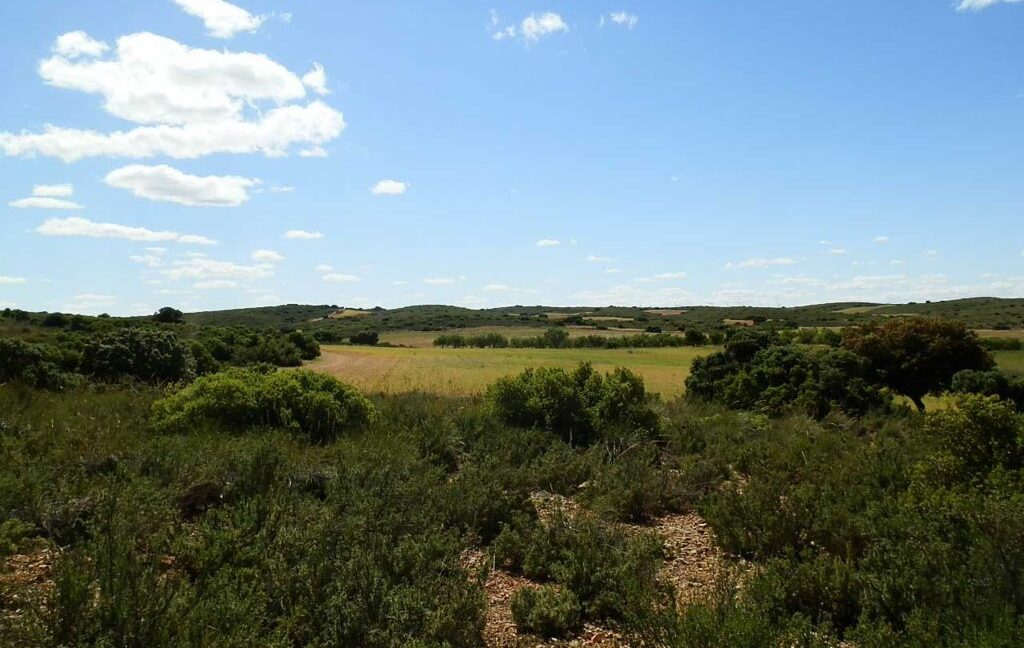 669_fincas-en-venta-117