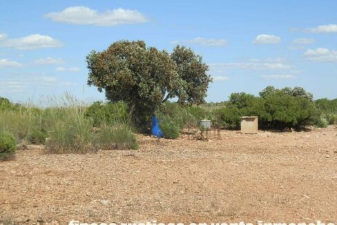 669_fincas-en-venta-125
