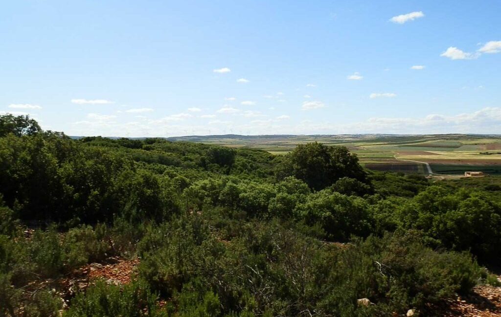 669_fincas-en-venta-132