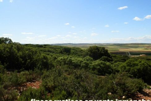 669_fincas-en-venta-132