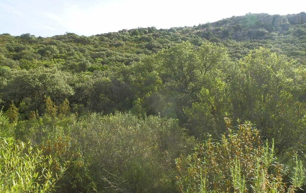 670_fincas-en-venta-31