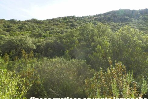 670_fincas-en-venta-31