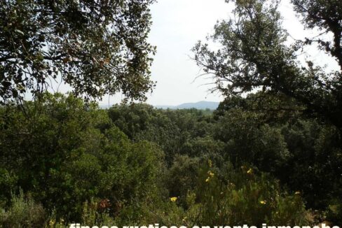 670_fincas-en-venta-57