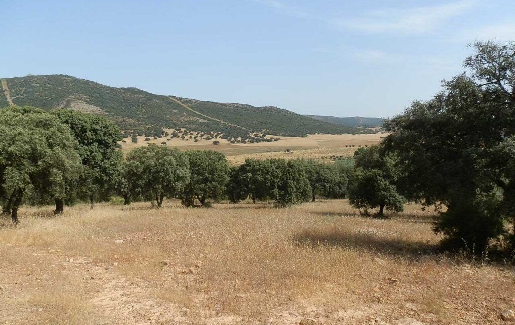670_fincas-en-venta-62