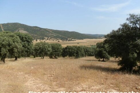 670_fincas-en-venta-62