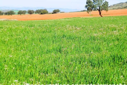 671_fincas-en-venta-055