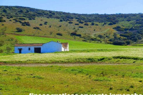 671_fincas-en-venta-061