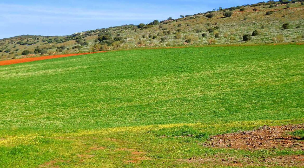 671_fincas-en-venta-065