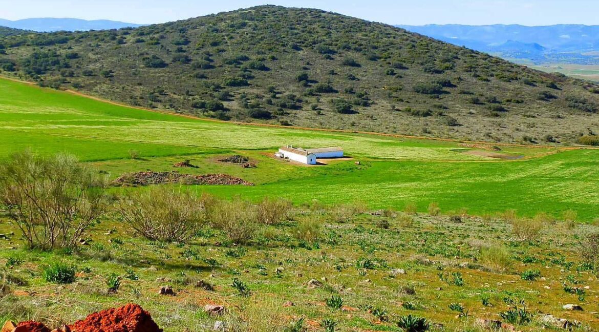 671_fincas-en-venta-068