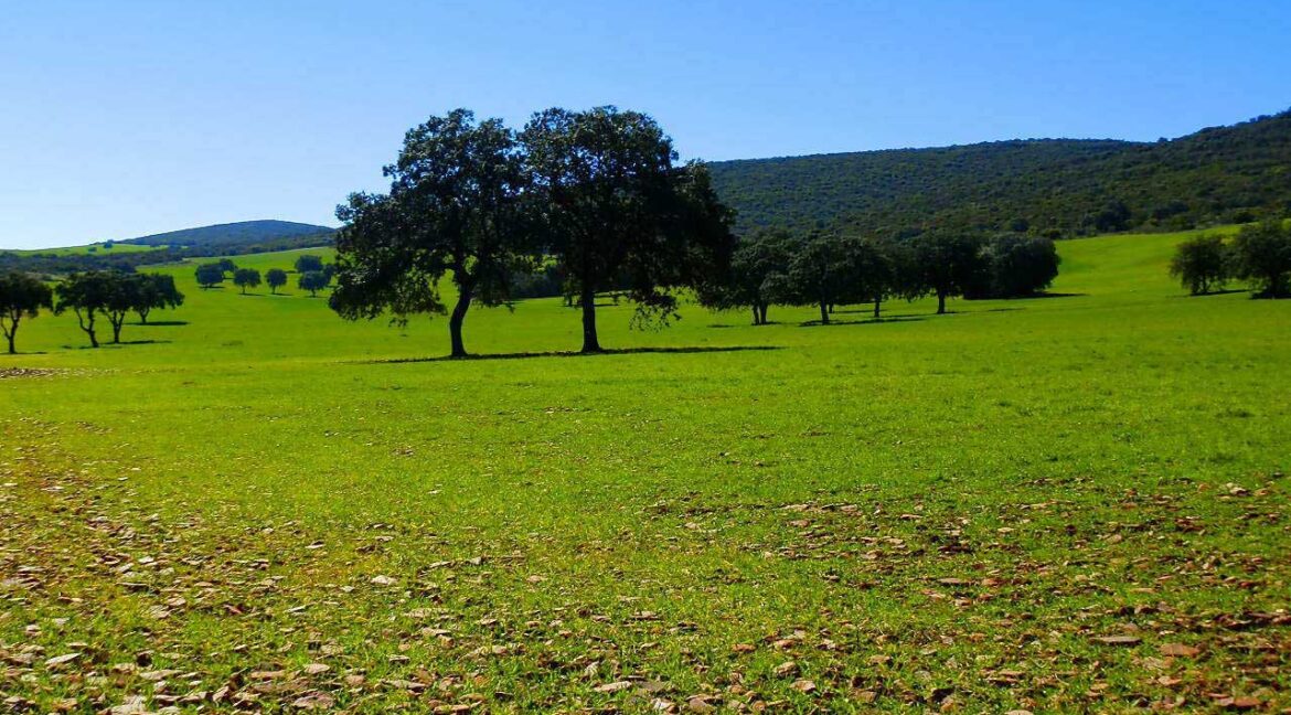 671_fincas-en-venta-114