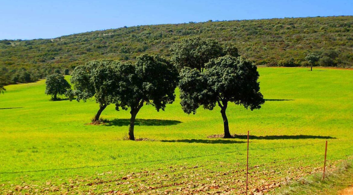 671_fincas-en-venta-117